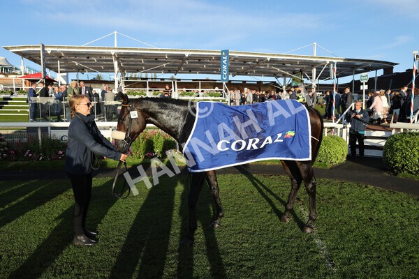 yr08102022r7-61 - Race 7 5.00pm The Coral Gets You Closer To The Action Stakes