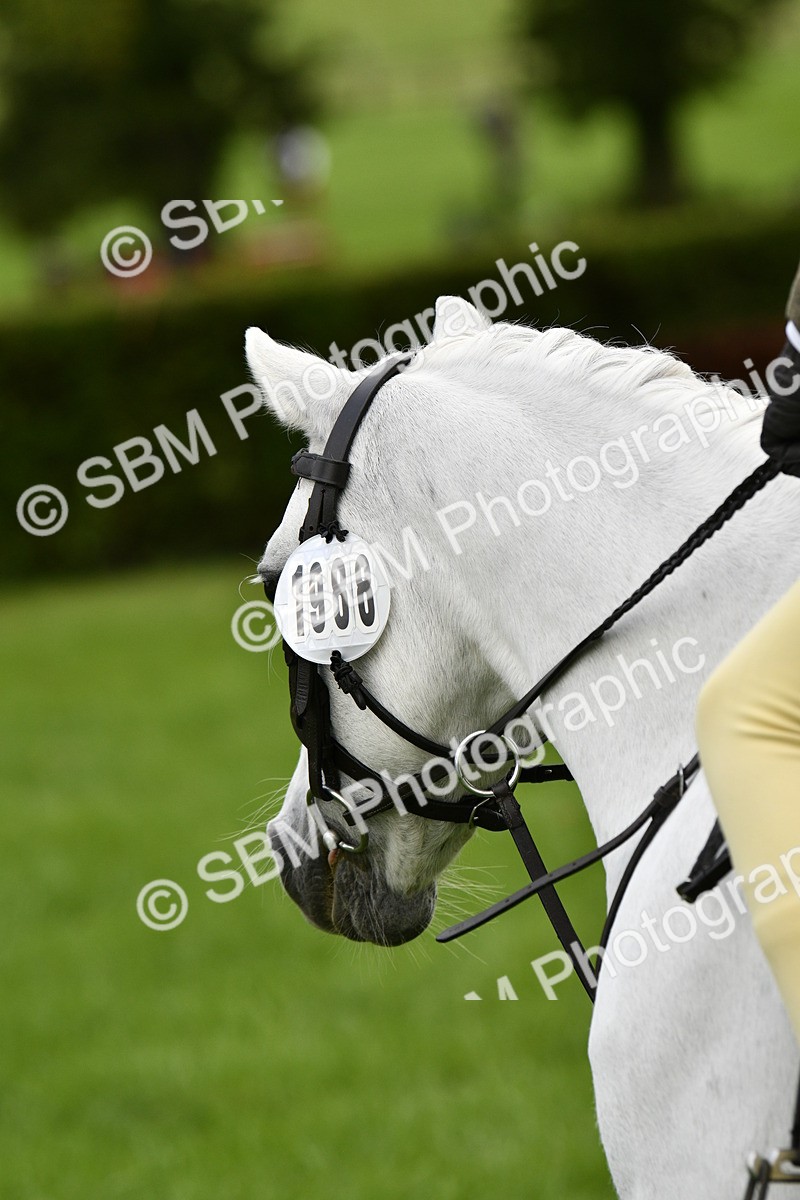 SBM_35451 - S30 - Nursery Stakes Working Hunter Pony