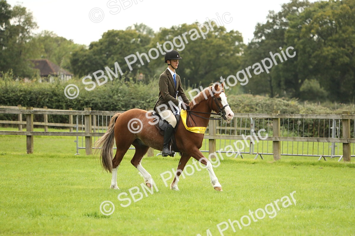 SBM_75433 - Equitation Supreme Championship