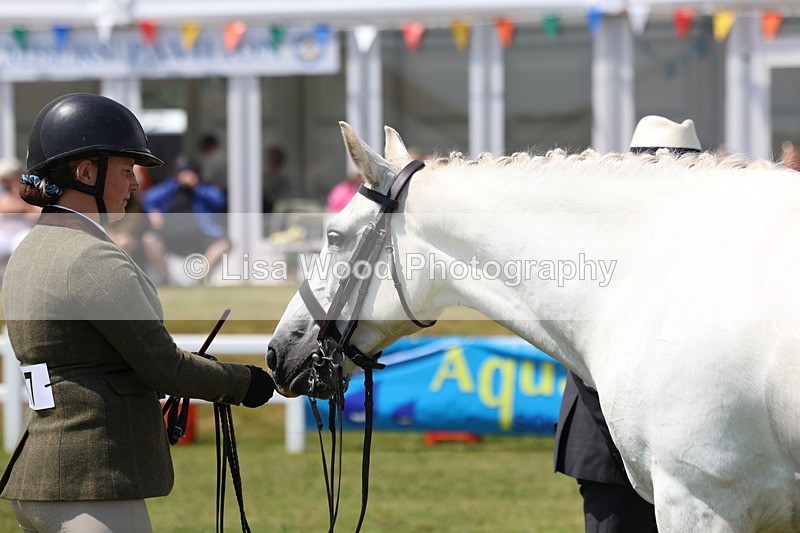 3E7A1716 - Class 9: Open Hunter