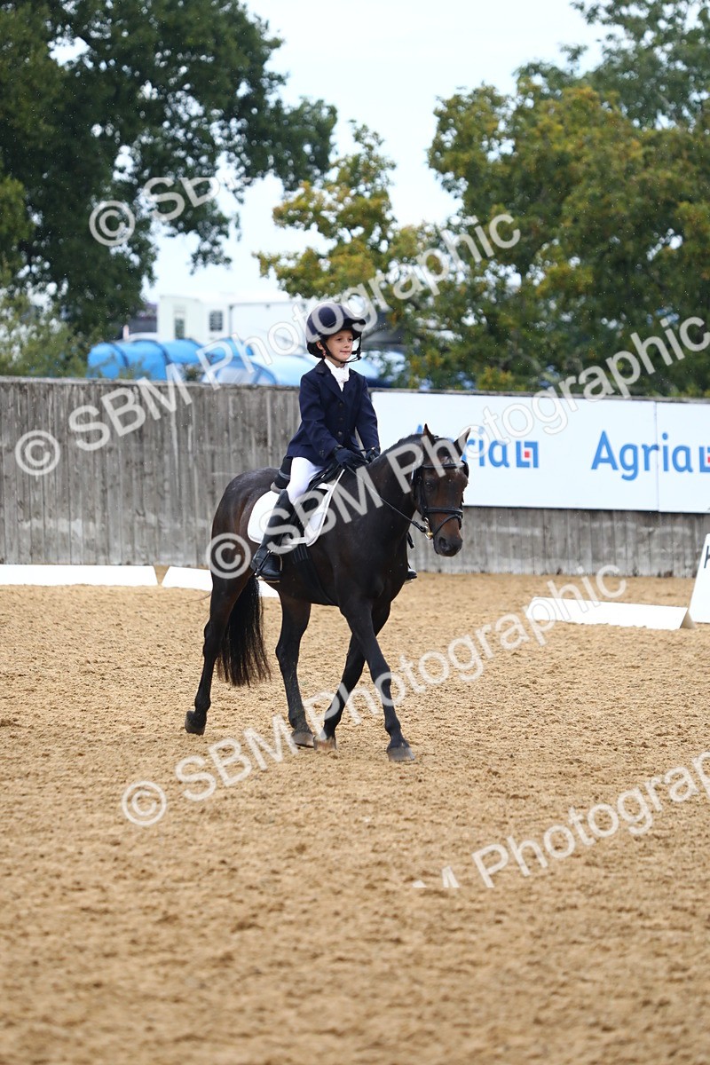 SBM_39066 - D21 - Junior Championship Intro 1