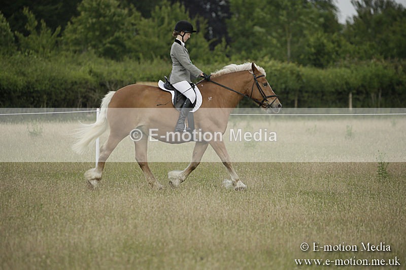 B230619-0207 - Bourne Valley Riding Club Summer Show 23/06/19