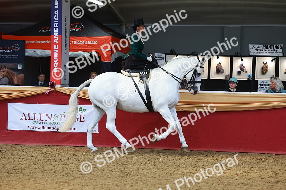 SBM_13878 - Class 106 - Ridden Costume - Side Saddle