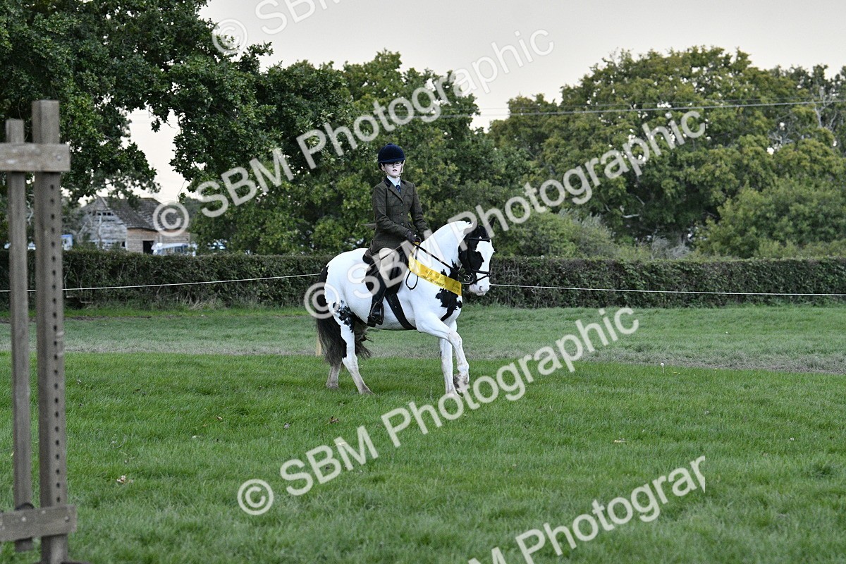 SBM_53314 - S14 - Riding Club Horse