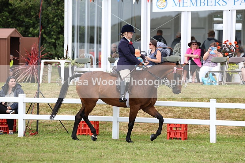 3E7A0820 - Class 8: Open Riding Horse/Hack