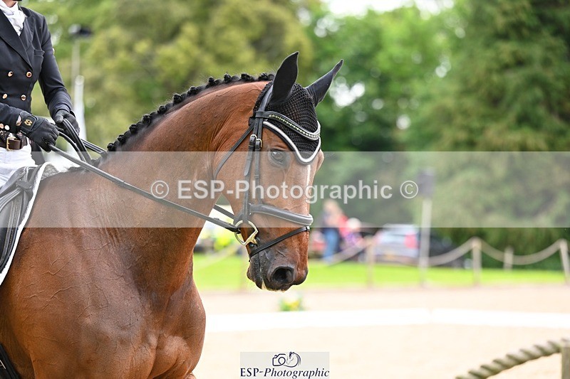 240524-094344-07942 - 508-RATHCOSGROVE_TIMMY-Sophie_Van_Der_Merwe