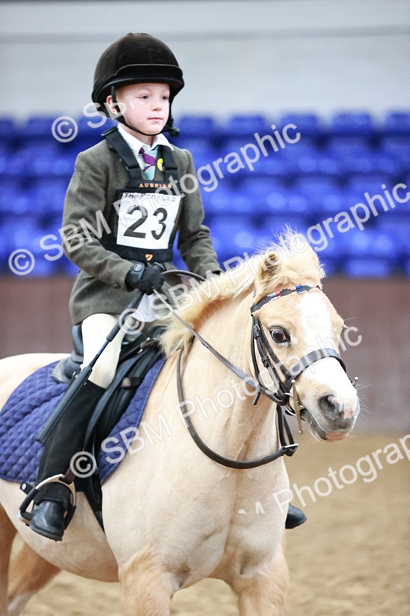 SBM_000266 - Class 1 - Cross Pole Jumping 30cm 40cm