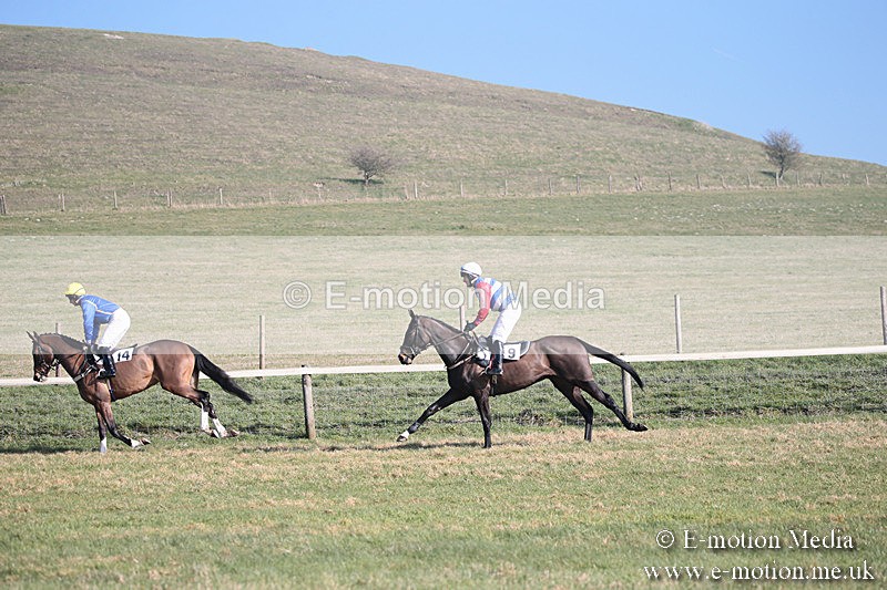 PtP 230219 133 - Vine & Craven Point-To-Point - Barbury 23/02/19
