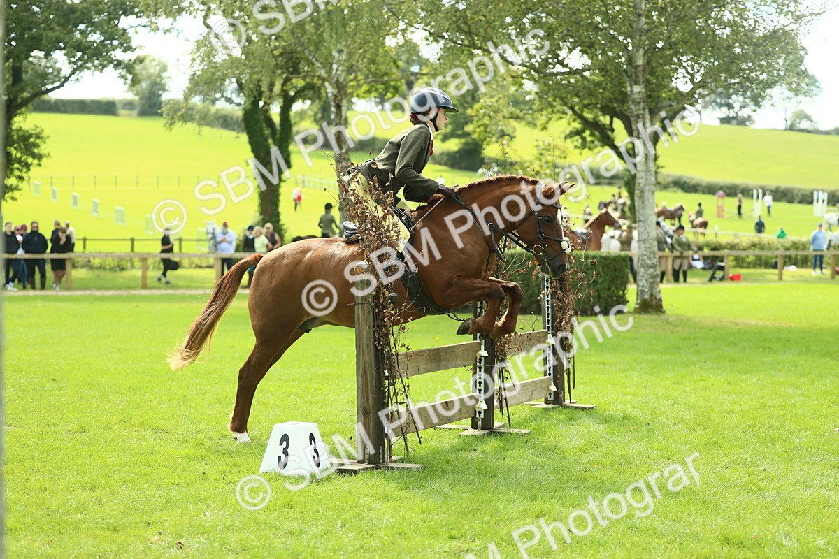 SBM_44563 - S31 - Working Hunter Pony