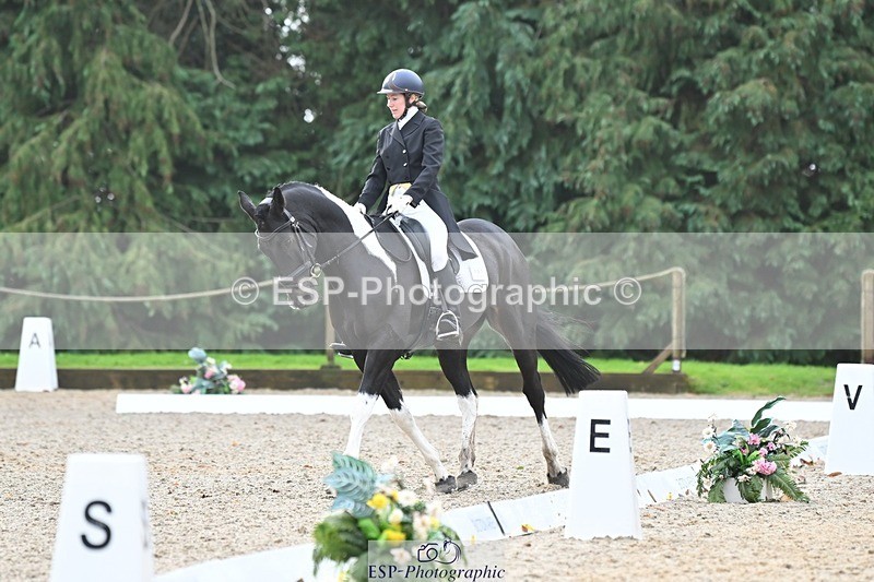 231019-103512-01893 - 101-RICARDO.COLOURS.II-Elizabeth.Wadey-DR