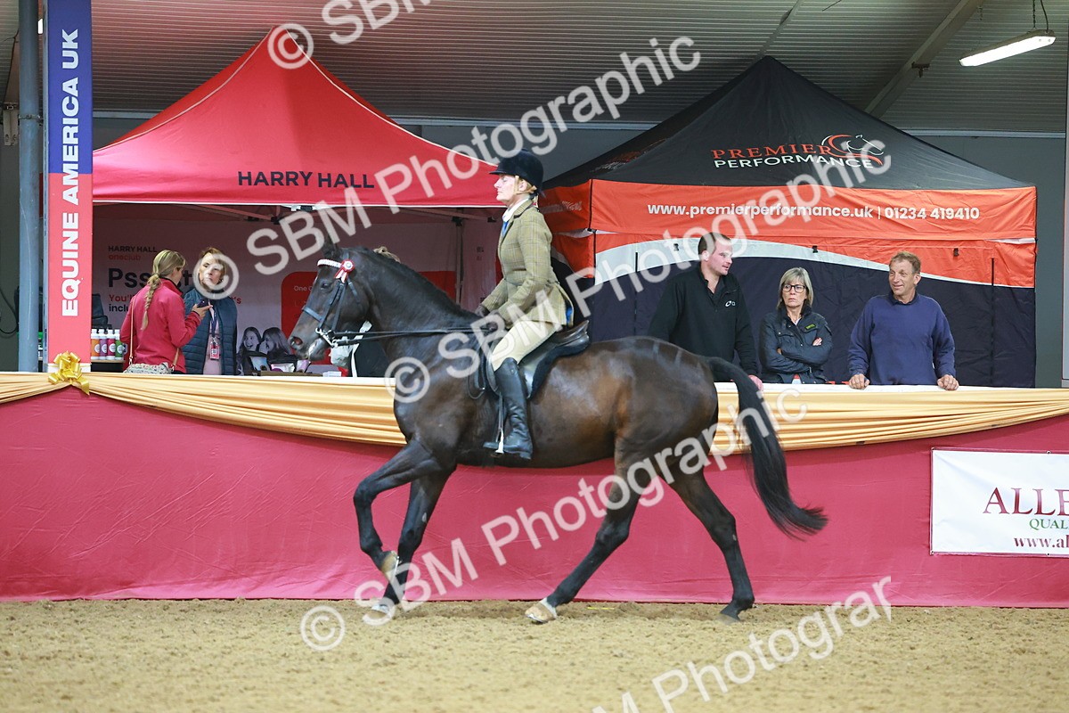 SBM_09710 - Class 102 - HOYS Veteran Qualifier - Ridden Veteran