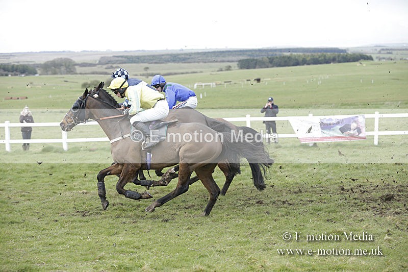 PtP 150320 0688 - New Forest Point-to-Point Larkhill 15/03/20