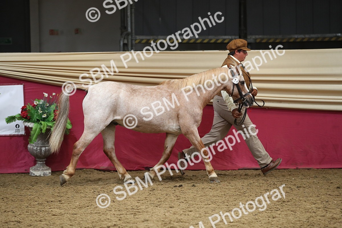 SBM_05260 - Class 8R - Regional IH Veteran