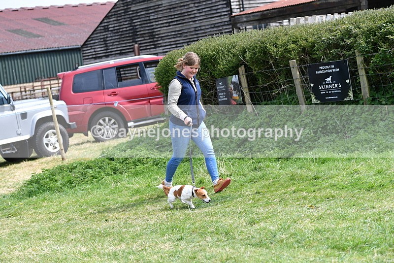 WJ5_0339 - Class 7 Best Terrier