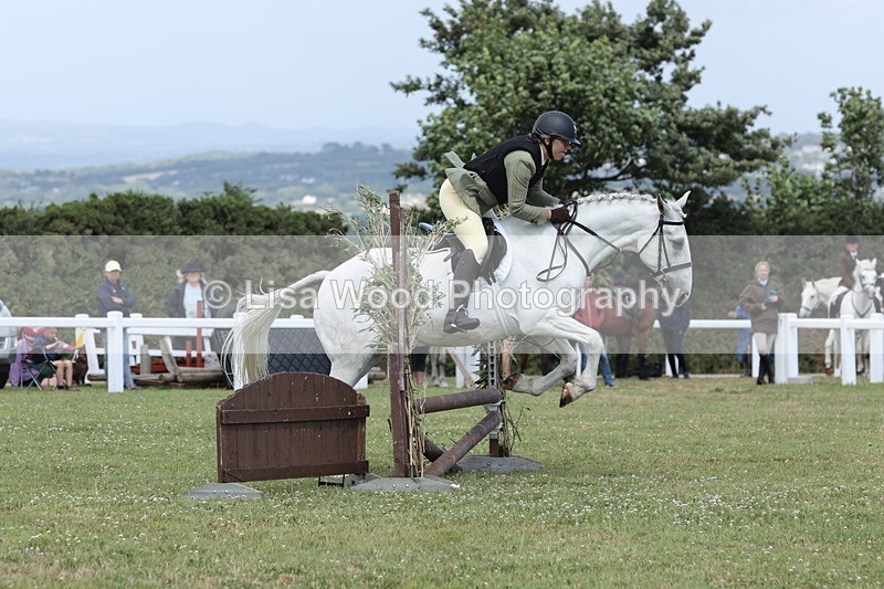 JPP_2083 - Class 19: Working Hunter 60cm