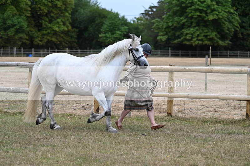 WJ7_8698 - Class 4a Prettiest Mare 14.2hh and over