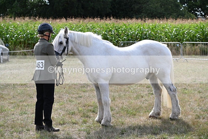 WJ6_6604 - Class 20 In-hand Cob