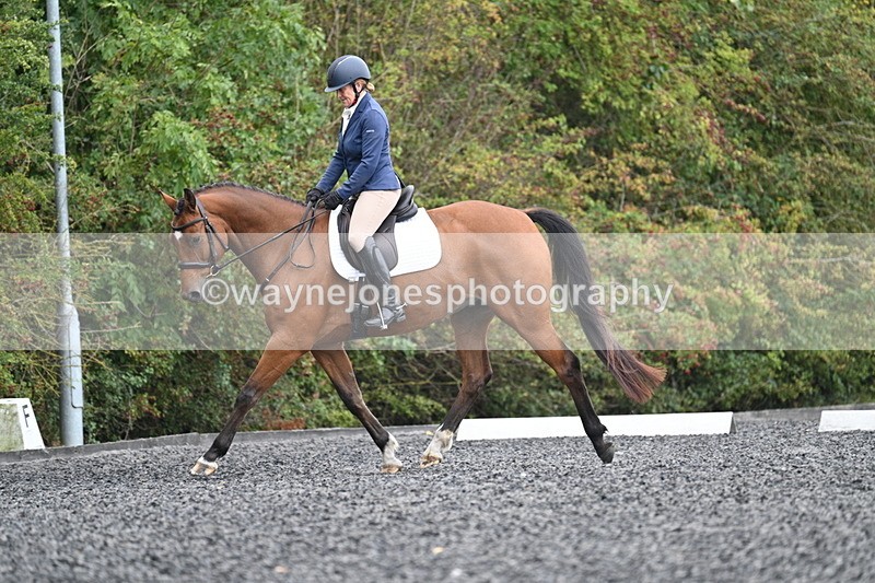 WJ7_4297 - Time 11:43 to 12:09