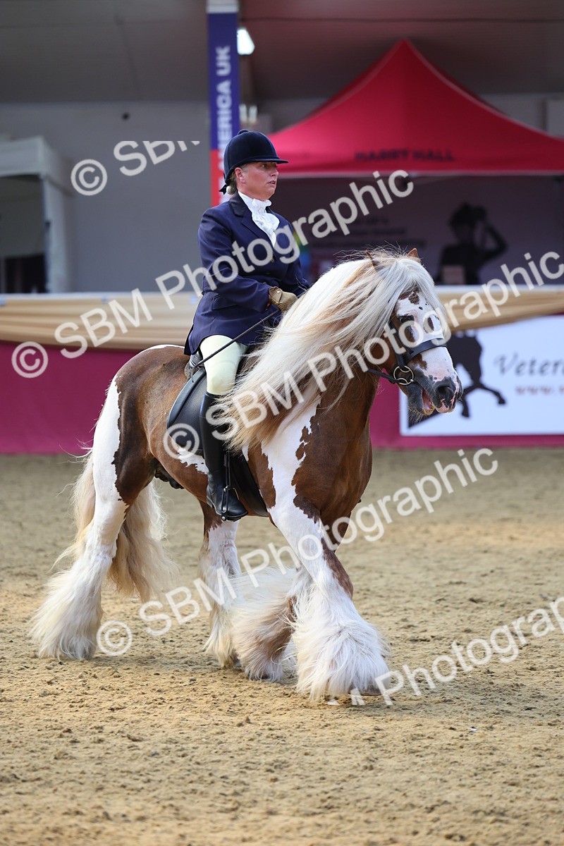SBM_24612 - Class 906 - Supreme Final - Ridden Pre Vet