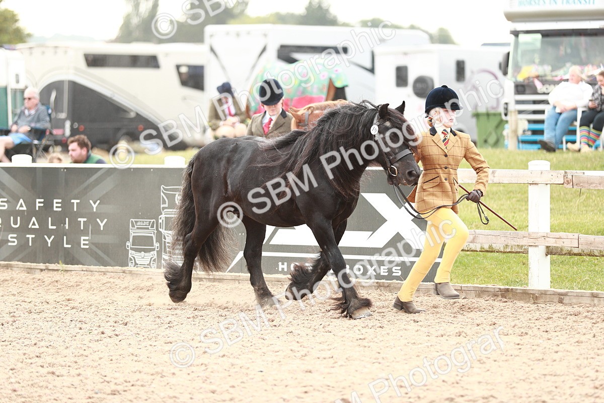 SBM_12463 - Class 207 IH M&M