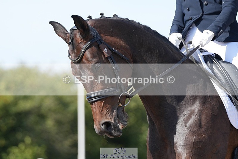 250906-150025-04623 - 053-Wendy.SavageFree.State