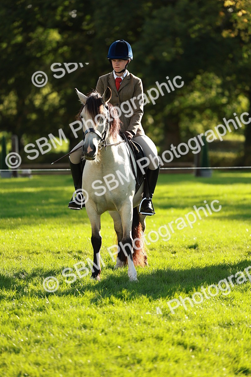 SBM_28709 - S7 - Novice & Newcomer Ridden Pony