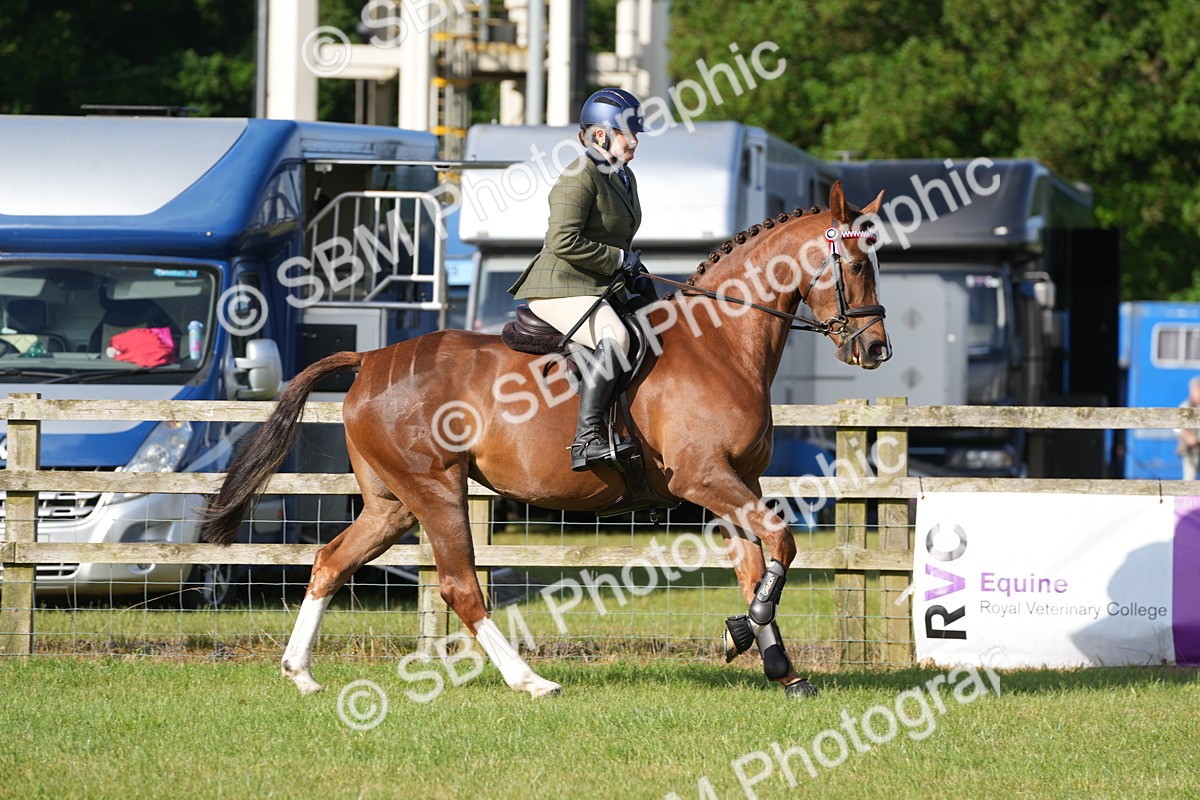 SBM_10502 - Class 97-98 - LIHS BSHA Rising Star Working Show Horse Hunter