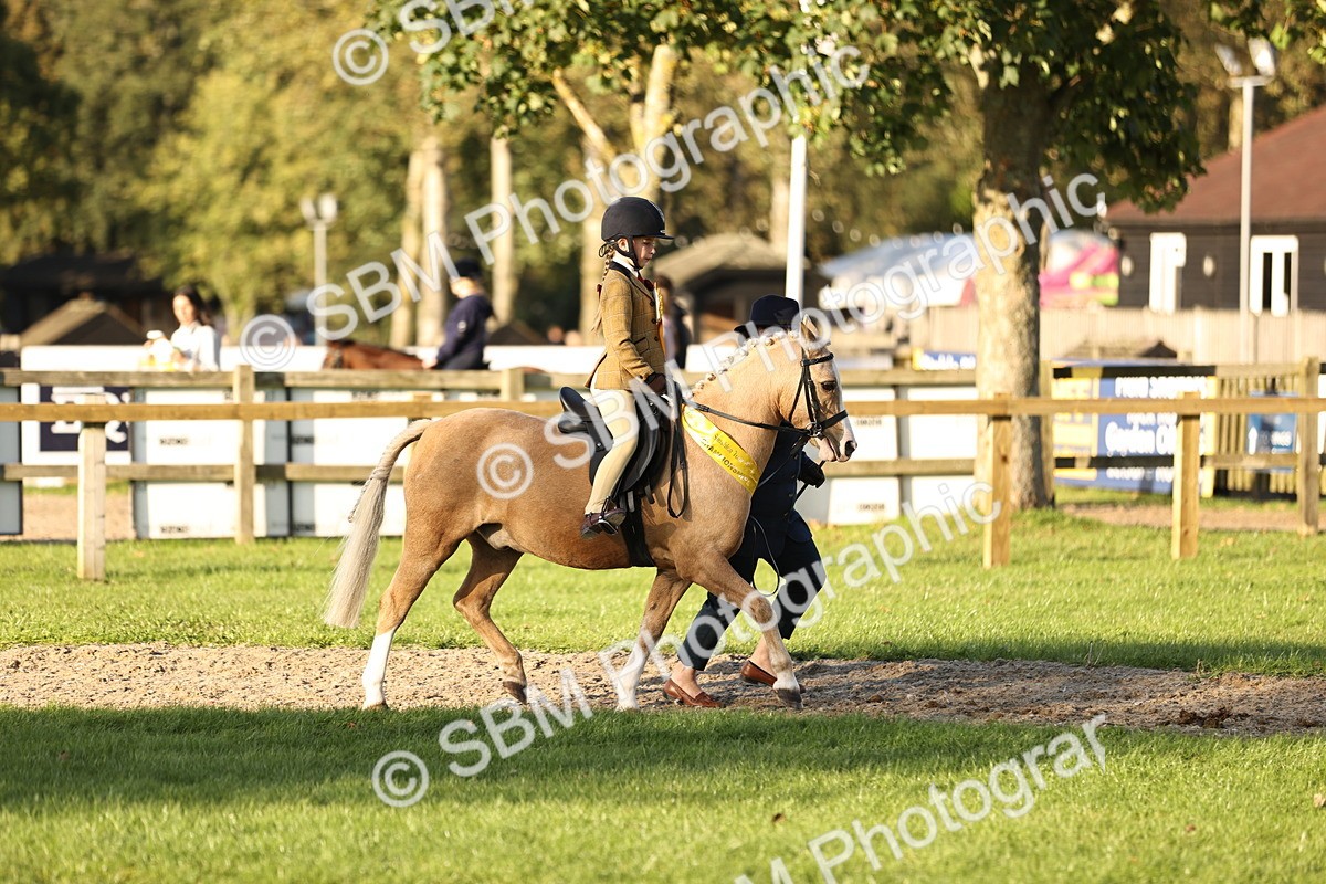 SBM_30121 - Novice & Newcomers Supreme Championship