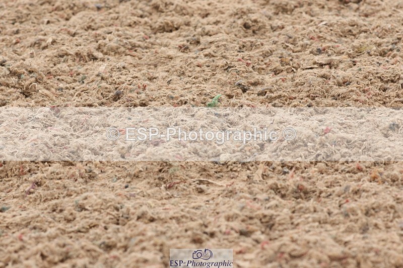 240622A-140025-11892 - Cls 29 BD Elementary 45