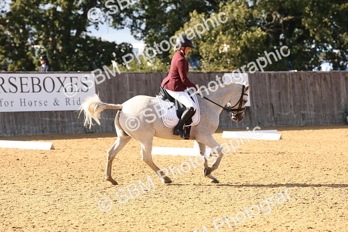 SBM_50475 - D12 - Small Tour Championship prelim 2
