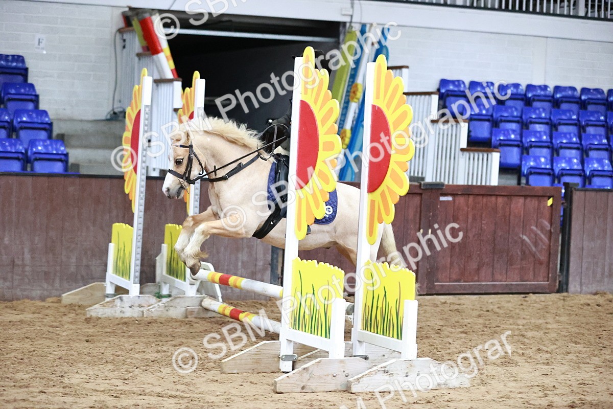 SBM_000395 - Class 2 - Show Jumping 50cm