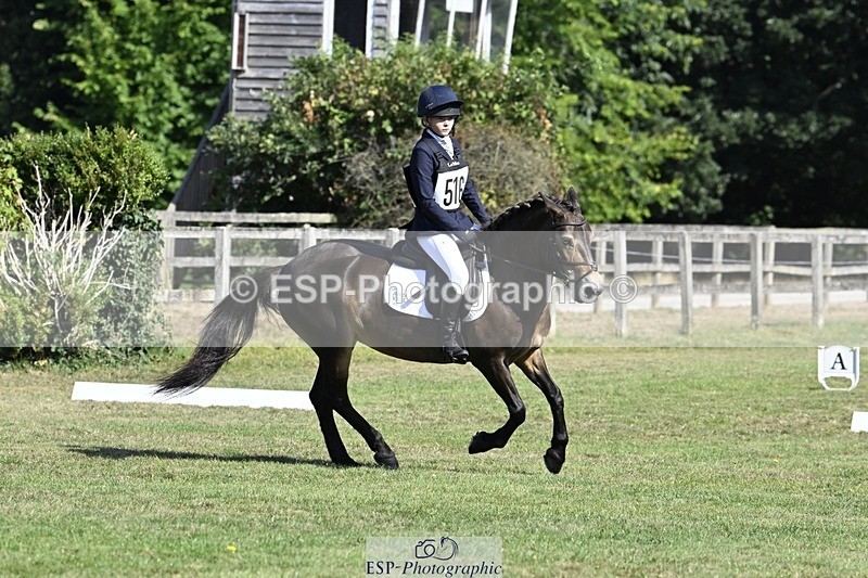 250822A-101549-20190 - DR 10.00 to 11.00