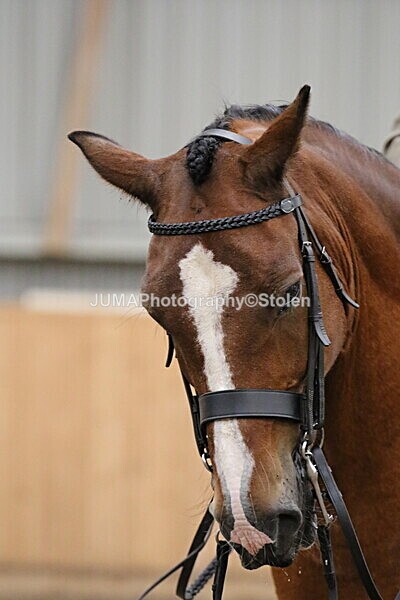 SIAL2942 - Sunday 14th Ridden