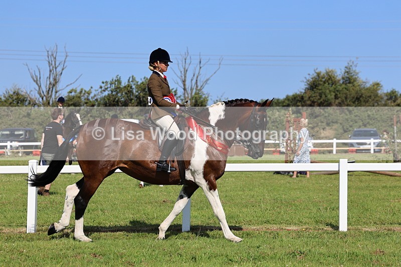 IMG_1693 - Skewbald and Piebald Ridden Championship