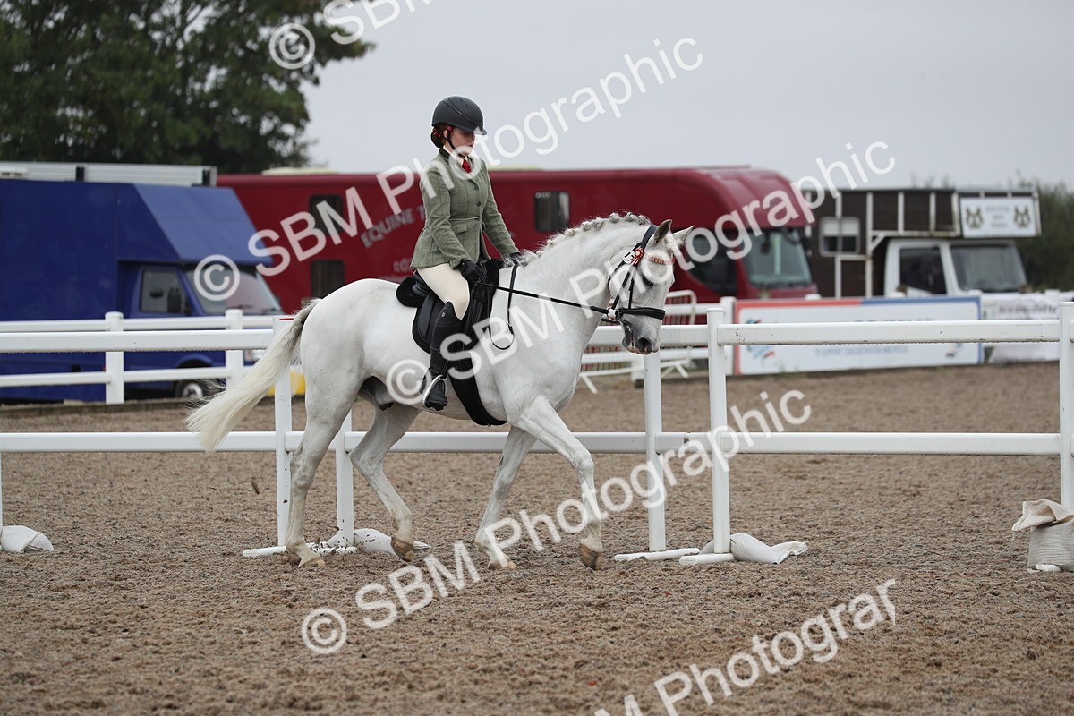 SBM_21913 - Class 603 - 2025 Area Ridden Pre Vet