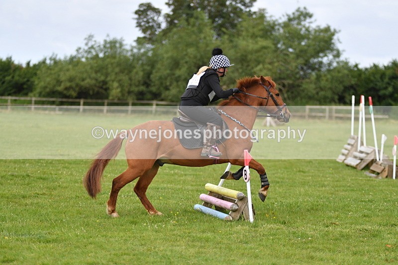 WJ5_2274 - Class 2 40cm