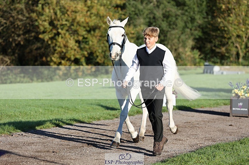 241027-084812-14829 - 381-William.Falango-JUST.BE.JACK