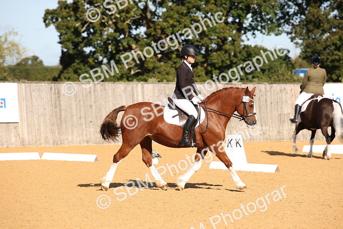 SBM_01906 - D2 Small Tour Championship Intro C