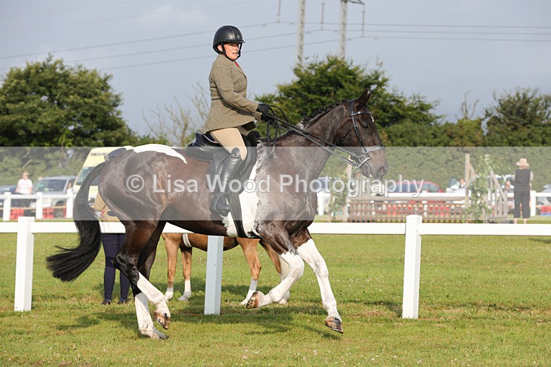 1X9A2877 - Class 25: Ridden Plaited Coloured Horse