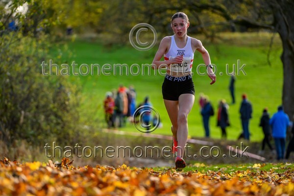 NatRel25-924959 - Young Female Set One