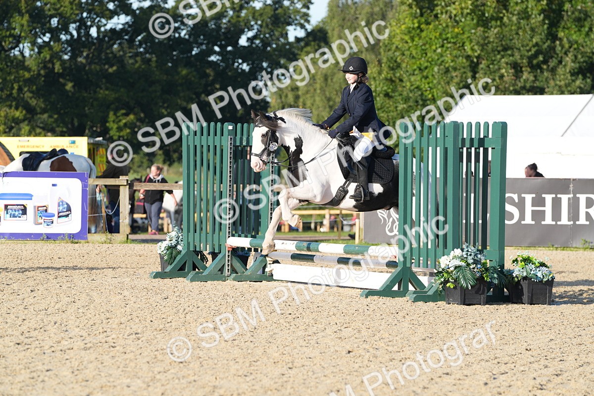 SBM_34336 - J62 - Clear Round 50cm