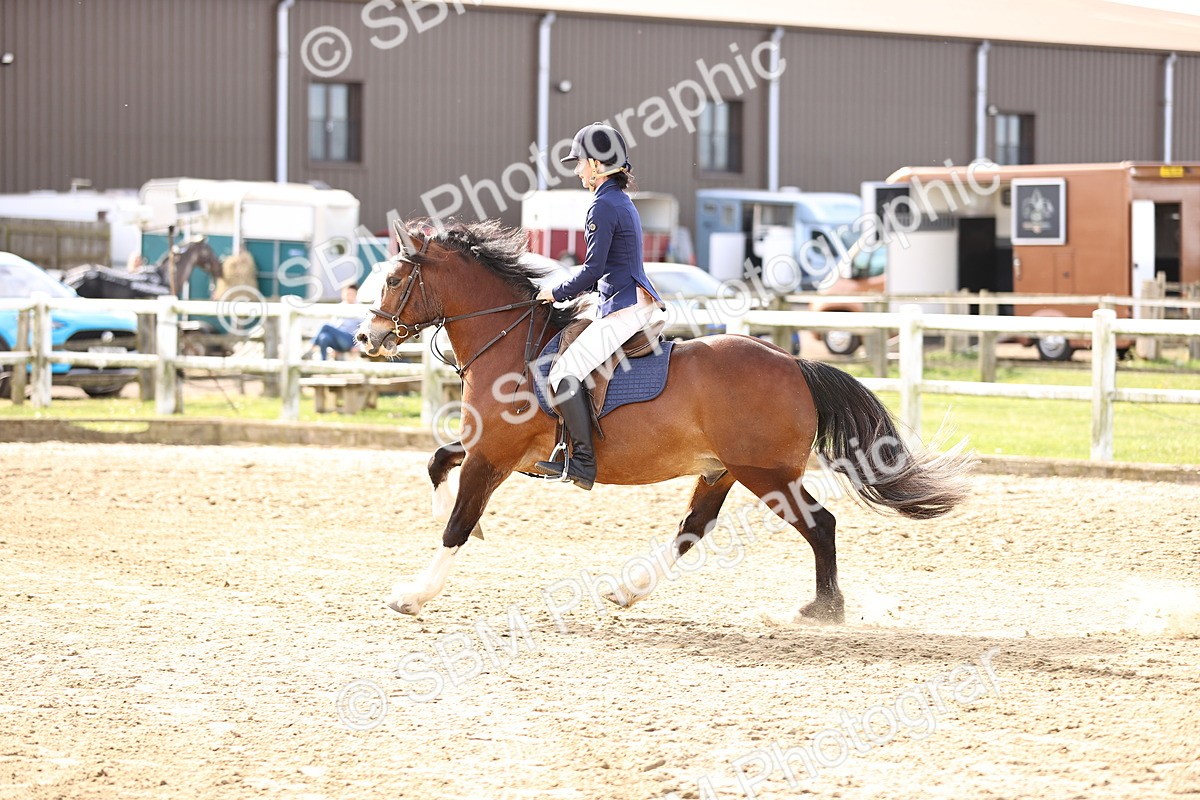 SBM_000028 - 50cm