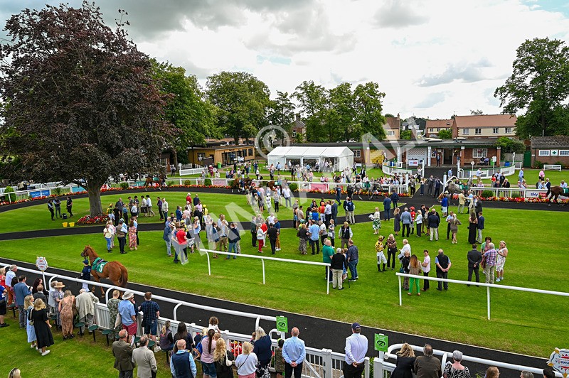 260724-Graham Lee Stable Staff Stakes-6930 - Graham Lee Stable Staff Stakes