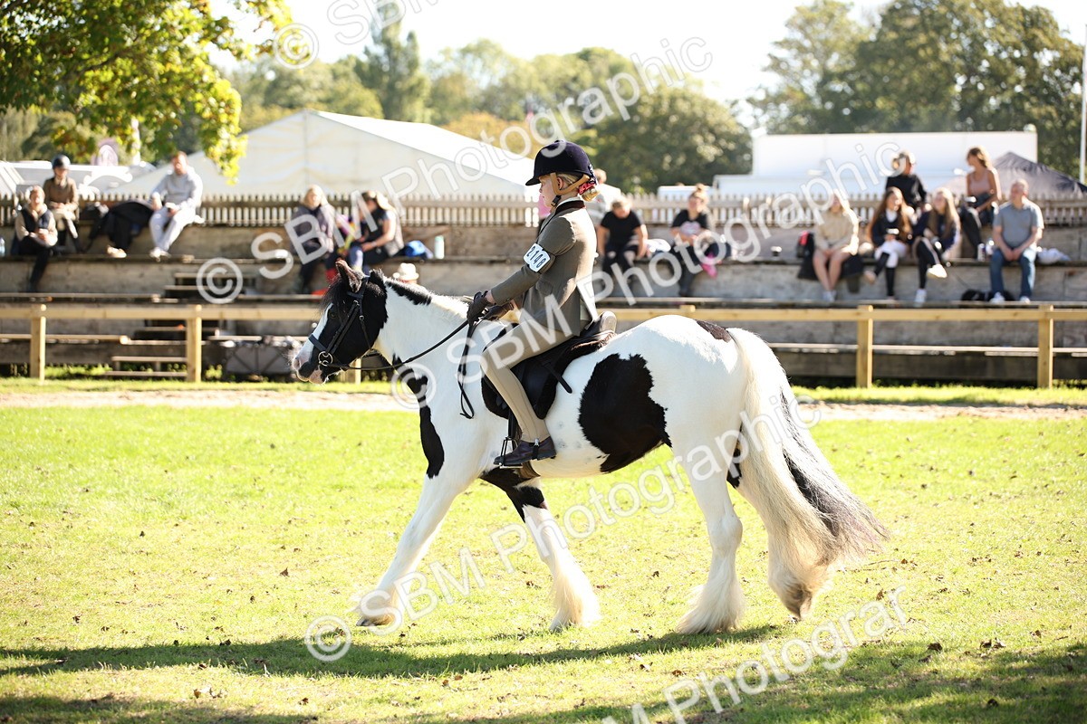 SBM_38988 - S11 - Best Ridden Horse & Pony