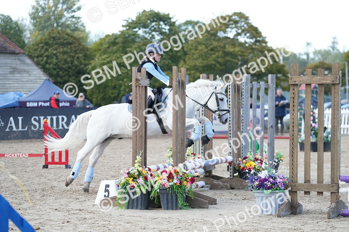 SBM_29177 - J43 - Horse & Hound Open 50cm