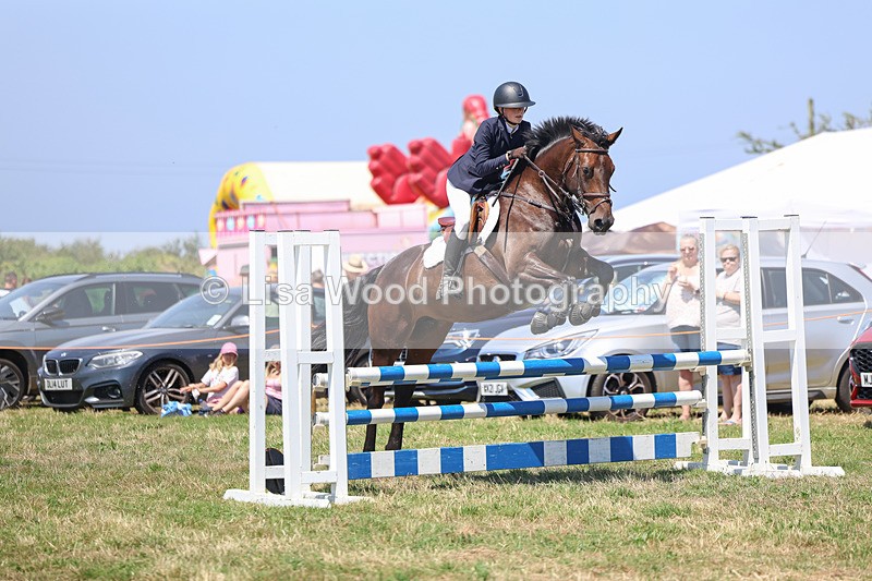 3E7A4445 - Class 10: Senior British Novice/90cm open