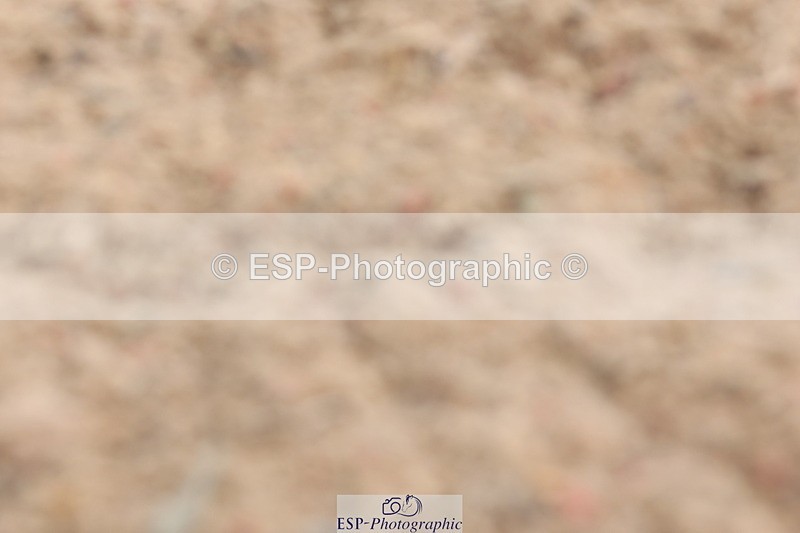 240706A-113601-01388 - Cls 2D Snr Prelim 18 Start to 12 break