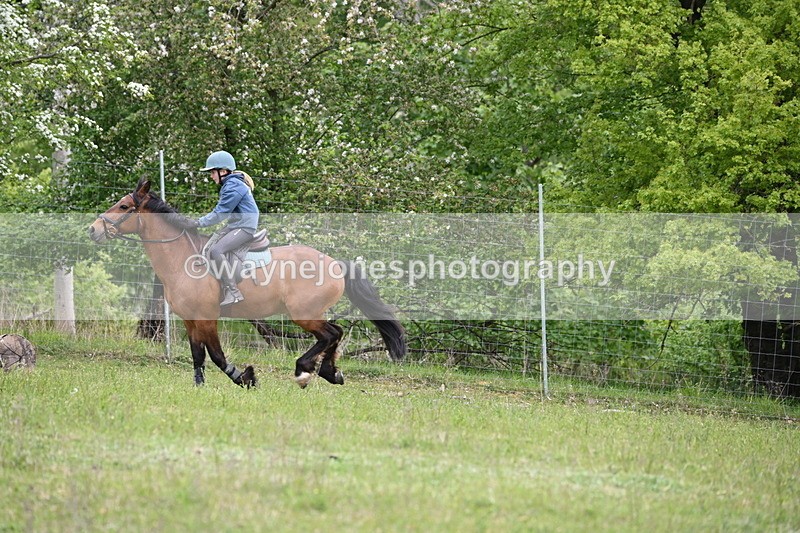 WJ6_1555 - Group 4 A&B Cameras