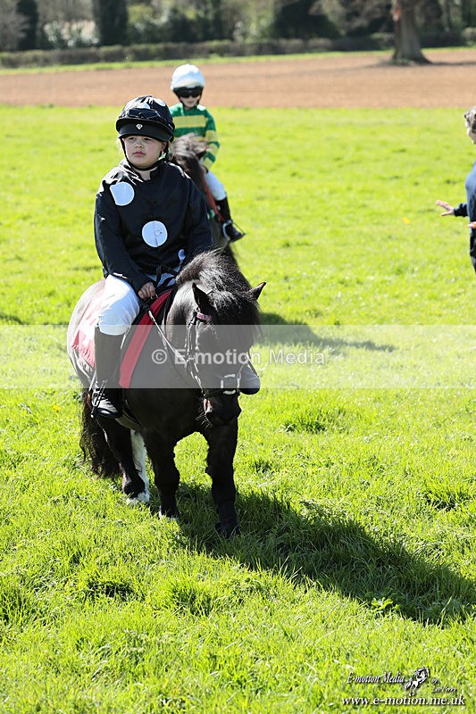 Shet 060426 366 - Shetland Pony Racing Paxford Races Easter Mon 06/04/26