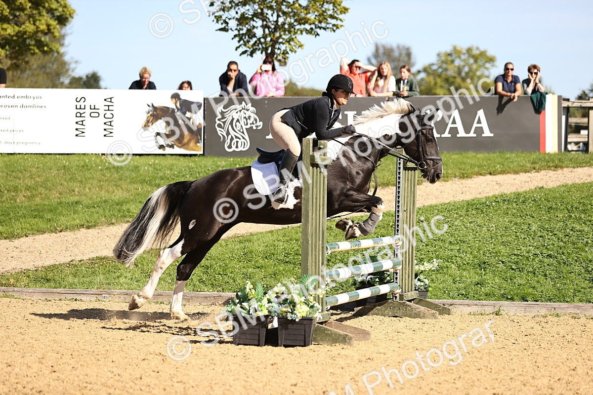 SBM_38398 - J39 - Senior 85cm Championship